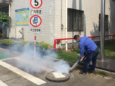 顺德虫害防治公司为什么要定期消杀四害、除虫灭鼠